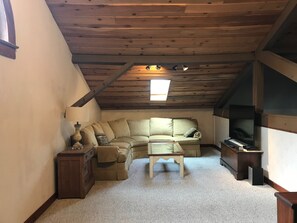 Smart TV, fireplace, DVD player, books