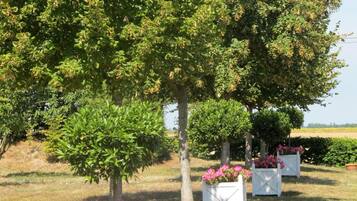 A garden with a large tree and flower planters.