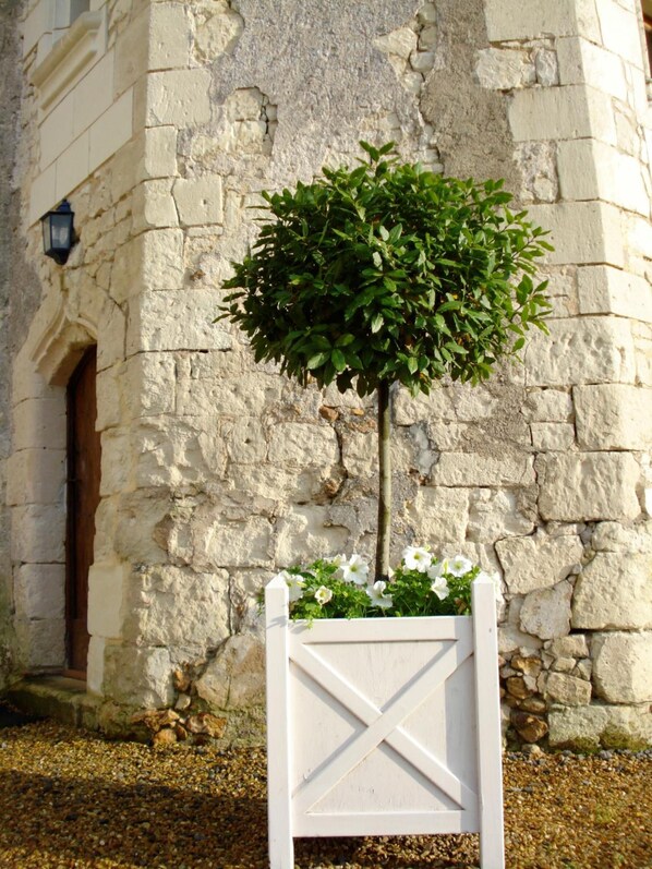 Detalle exterior