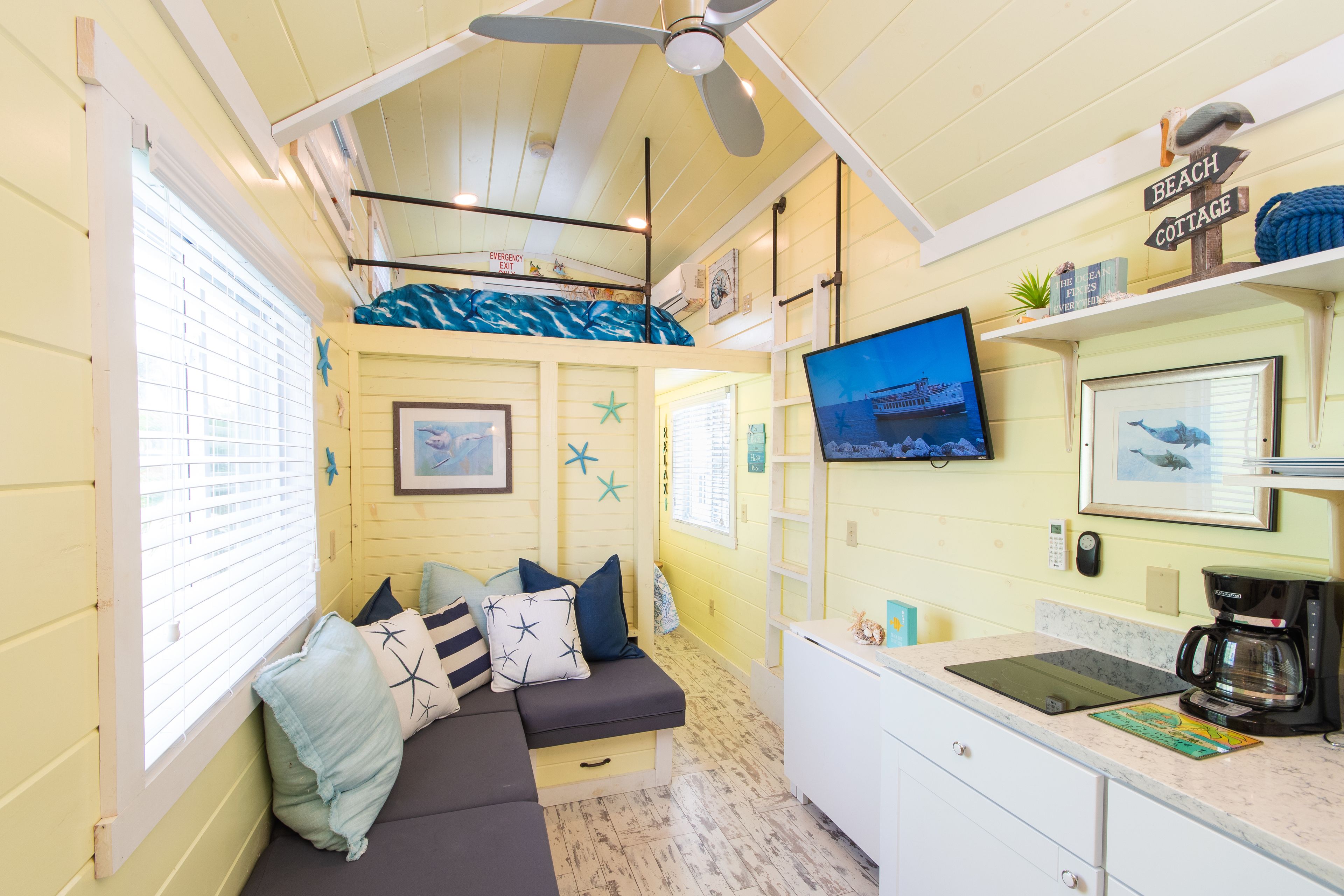 双人房 (Dolphin Tiny) | 特色装修、特色家居、隔音、免费 WiFi