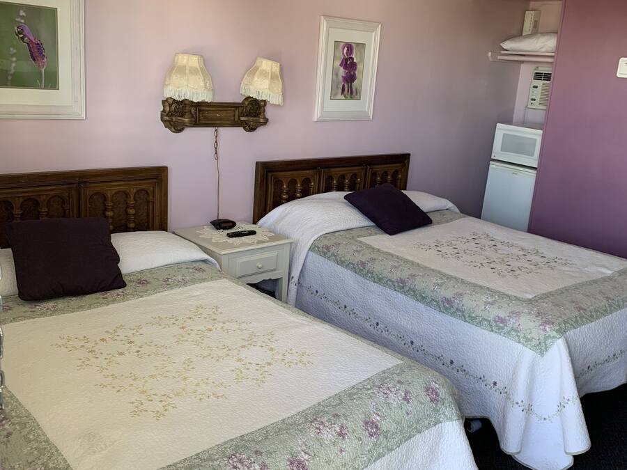 A hotel room with two beds, a nightstand, a lamp, a microwave, and a ceiling fan.