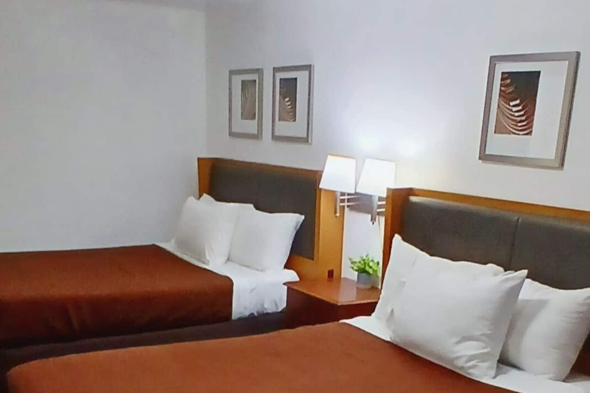 Quarto de hotel com duas camas, uma mesinha de cabeceira, uma luminária e quadros nas paredes.