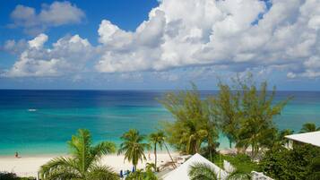 On the beach, beach bar, kayaking