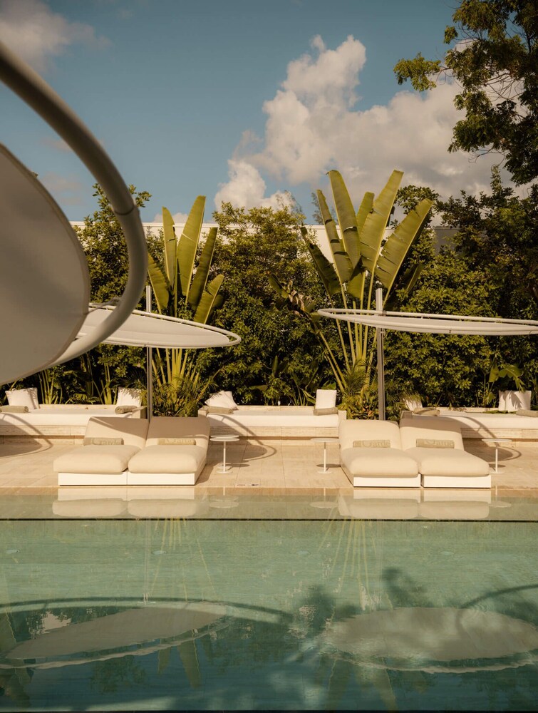 Palm Heights by null