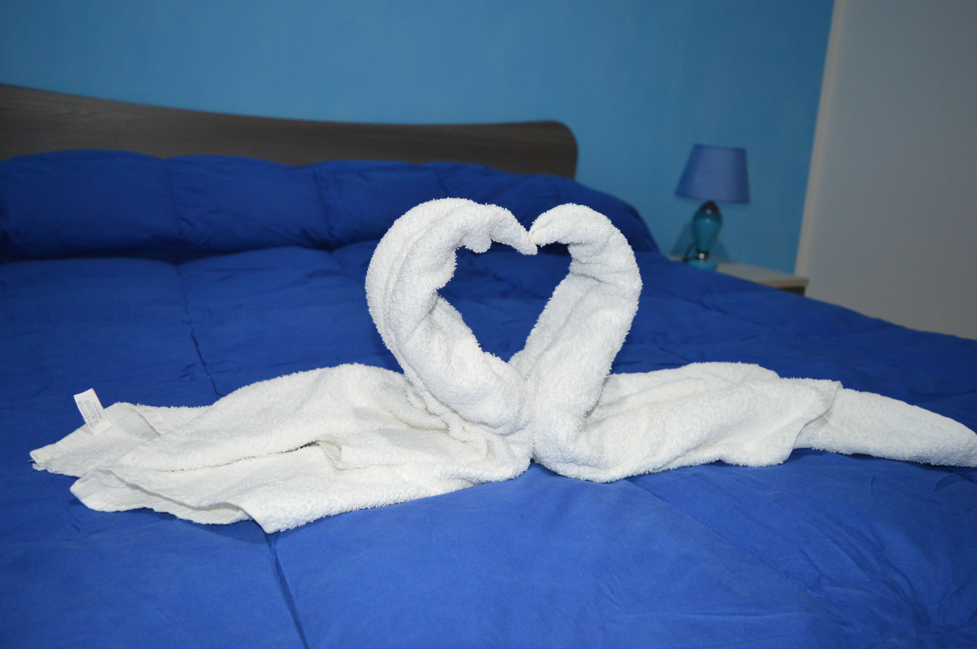 Foto - B&B Olympo