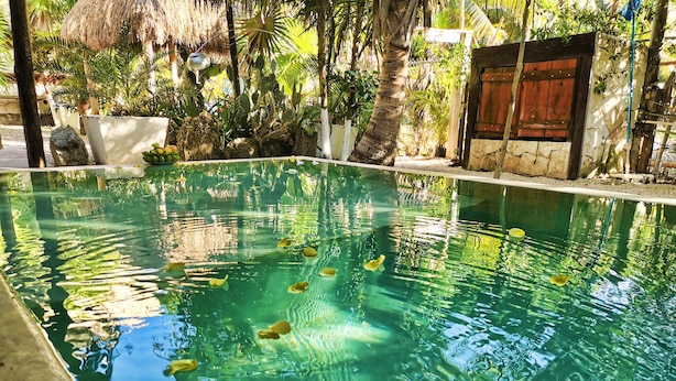 Outdoor pool, open 7:00 AM to 11:00 PM, pool umbrellas, pool loungers - Suites Tulum (Tulum)