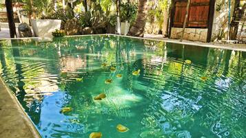 Udendørs pool, åben fra kl. 07.00 til kl. 23.00, parasoller, liggestole