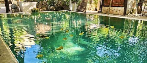 室外游泳池,07:00 至 23:00 开放,池畔遮阳伞,日光浴躺椅