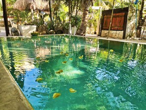 Kolam renang outdoor, dengan payung kolam renang dan kursi berjemur