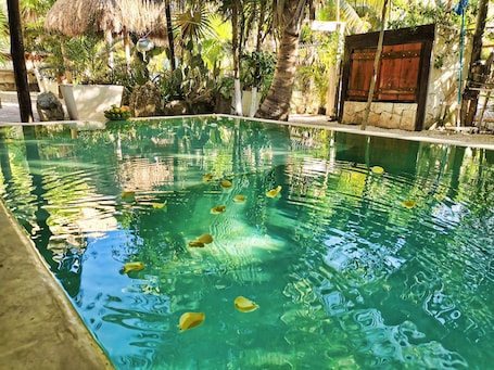 Outdoor pool, open 7:00 AM to 11:00 PM, pool umbrellas, sun loungers. Suites Tulum
