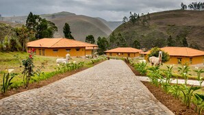 A pathway leading to a rural property with yellow buildings and grazing animals. - Tambo Sapalanchan Lodge (Lámud)