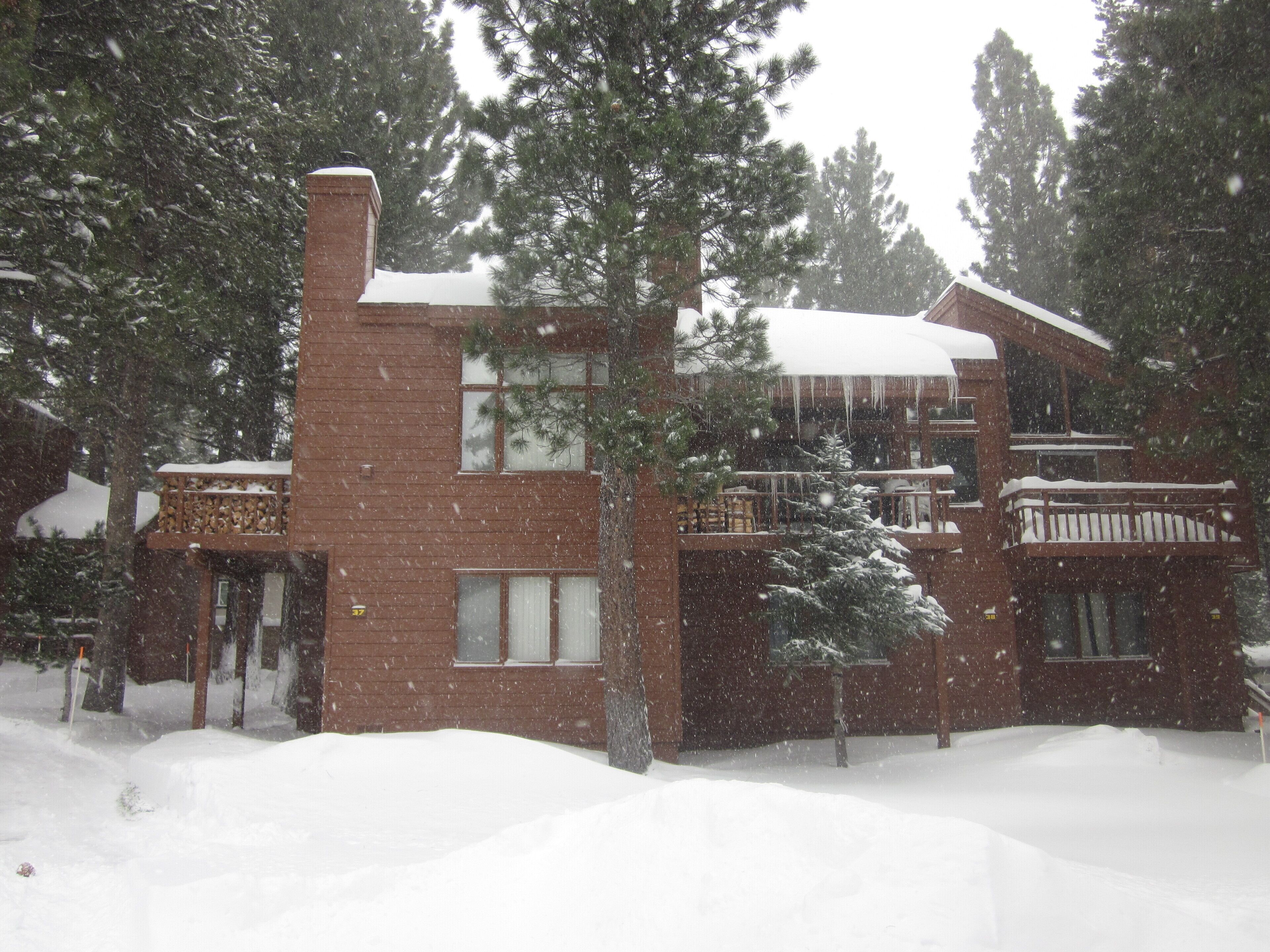 Mammoth Chateau steps away from Red Line to Canyon Lodge via Village