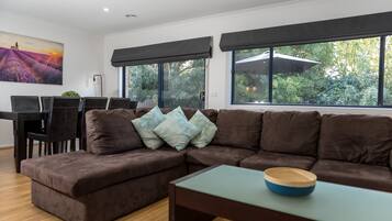 TV, fireplace, DVD player, table tennis
