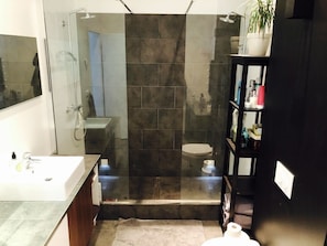 Combined shower/tub, hair dryer, towels