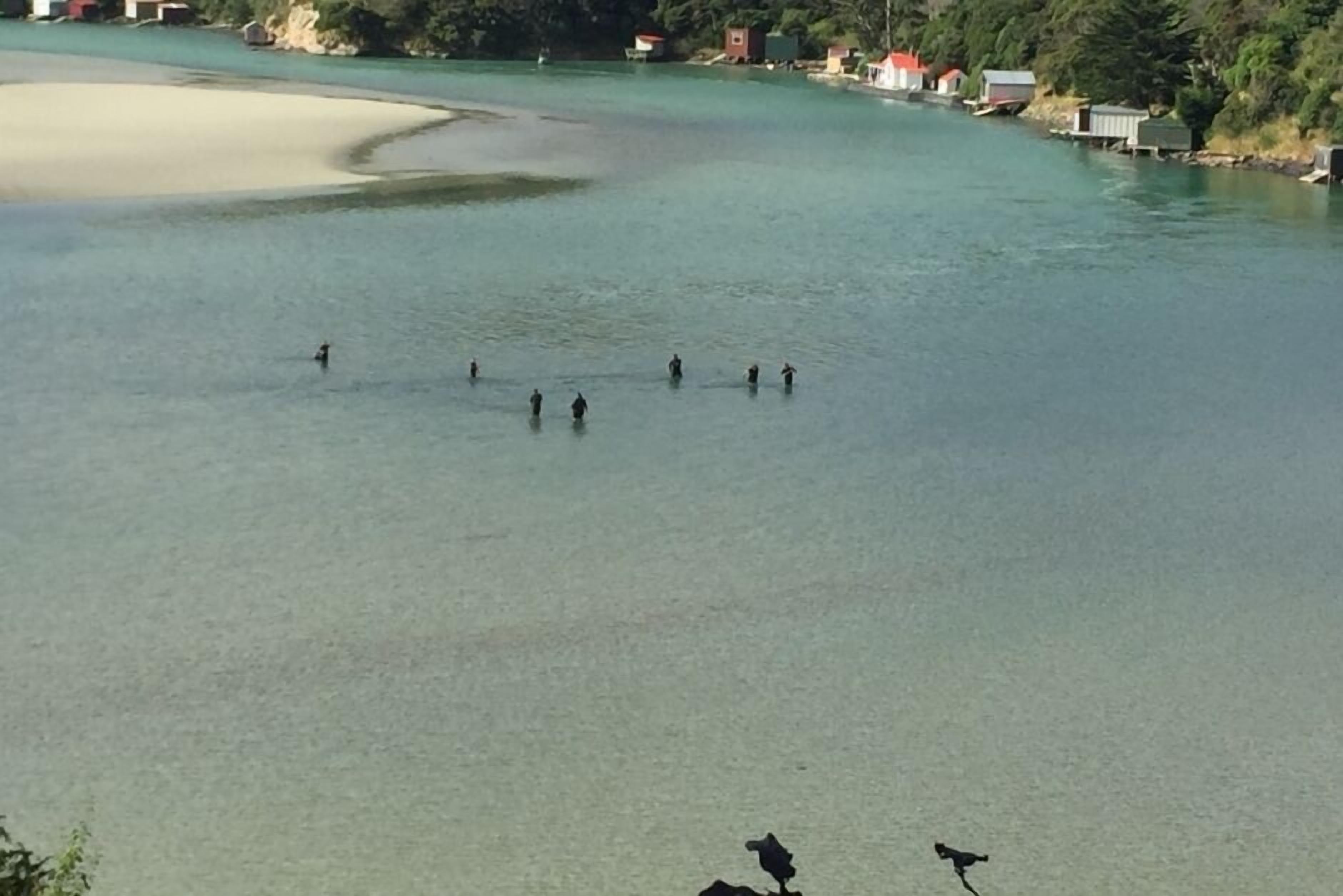 Une rivière où des personnes pataugent dans l’eau, entourées de verdure et de bâtiments.
