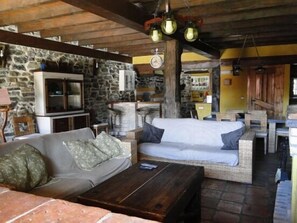 TV, fireplace, DVD player, books