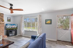 Una televisión, una chimenea, un reproductor de DVD