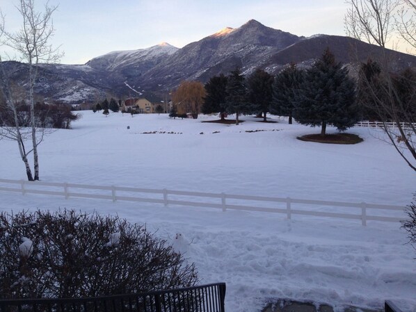 Exterior - Wintergreen Condominiums (Midway)