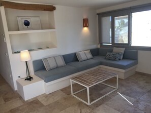 Smart TV, chimenea, reproductor de DVD, libros