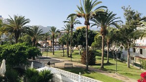 A park with palm trees, benches, and a pathway.