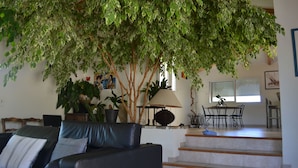 Interior - Architect house (Alata)