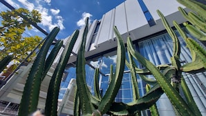 A modern building with large windows and a glass facade, surrounded by tall cacti. - LAST MINUTE -  Design villa, climatized pool, sea views 6 pers. (Tijoco Bajo)
