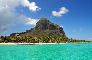Uma praia com águas turquesa cristalinas, uma grande montanha ao fundo e uma fileira de palmeiras e guarda-sóis de praia.
