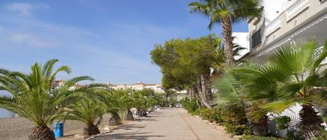 Una passeggiata costiera fiancheggiata da palme e edifici, che conduce a una spiaggia.