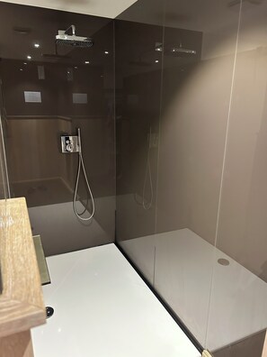 Combined shower/tub, hair dryer, towels, toilet paper