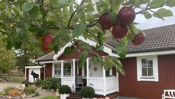 Une maison rouge avec un porche blanc, un petit jardin et une statue d’un orignal.