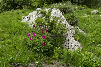 Appartamento per 5 persone Guillaumes Reserve Gorges Rouges