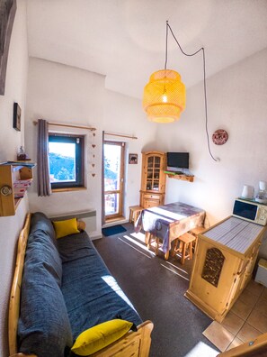 TV, DVD player, books