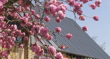 La Bulle En Baie, lodging ***, calm and comfort in the Bay of Mont Saint Michel
