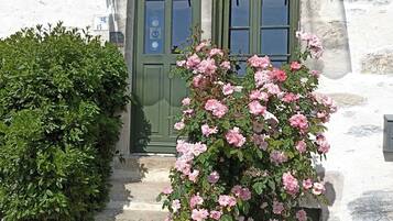 Detalle exterior