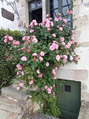 Pleasant cottage on the edge of Sarthe