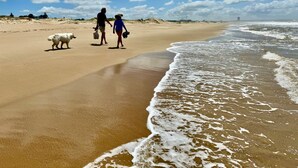A sandy beach with two people and a dog walking along the shore.
