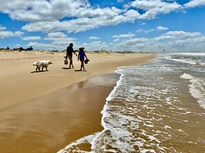Nær stranden, solsenger og strandhåndklær