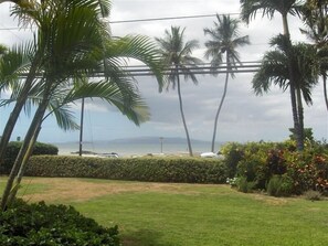 Surrounded by lush tropical gardens and palm trees, this property offers a serene coastal setting.