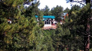 A house surrounded by dense pine trees. - New-ish 3 BR house on canyon ridge/Borders Forest/31 windows- 3 miles from town (Pagosa Springs)