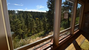 A room with large windows offering a view of a forested area. - New-ish 3 BR house on canyon ridge/Borders Forest/31 windows- 3 miles from town (Pagosa Springs)