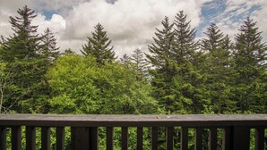 A wooden deck overlooking a dense forest of tall evergreen trees under a partly cloudy sky. - Whistlepunk #12:  4 Bedroom, 3 Bath:  Slope Side, Wood Fireplace. (Snowshoe)
