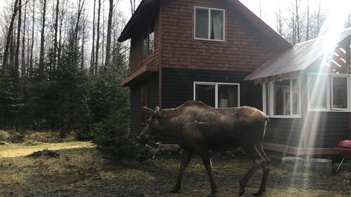 Eagle's Nest Cabin on Salmon Creek