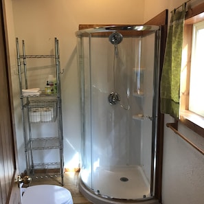 Combined shower/bathtub, hair dryer, towels, soap - Eagle's Nest Cabin on Salmon Creek (Seward)