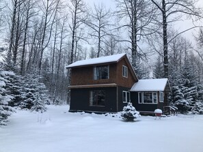 Exterior - Eagle's Nest Cabin on Salmon Creek (Seward)