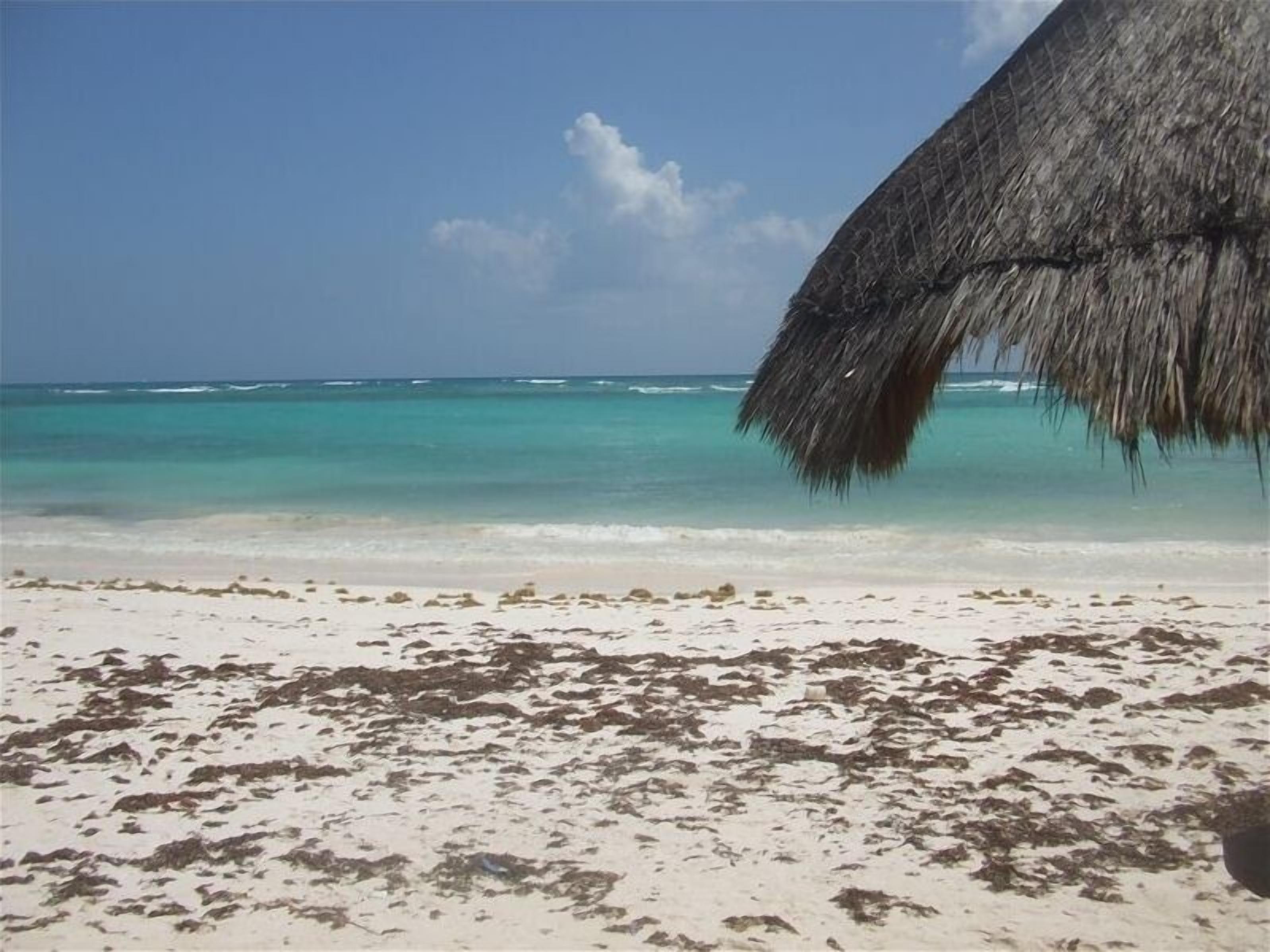 Ligstoelen aan het strand