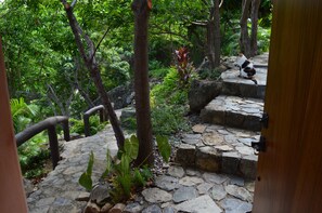 Property grounds - The owners of sailing catamaran "Picante" bring you a slice of paradise (Colonia La Ropa Zihuatanejo)