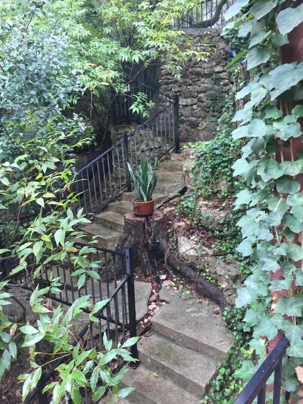 Una escalera de piedra rodeada de vegetación exuberante y una planta en maceta.