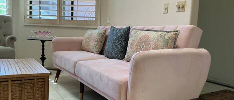 TV, fireplace, DVD player, books