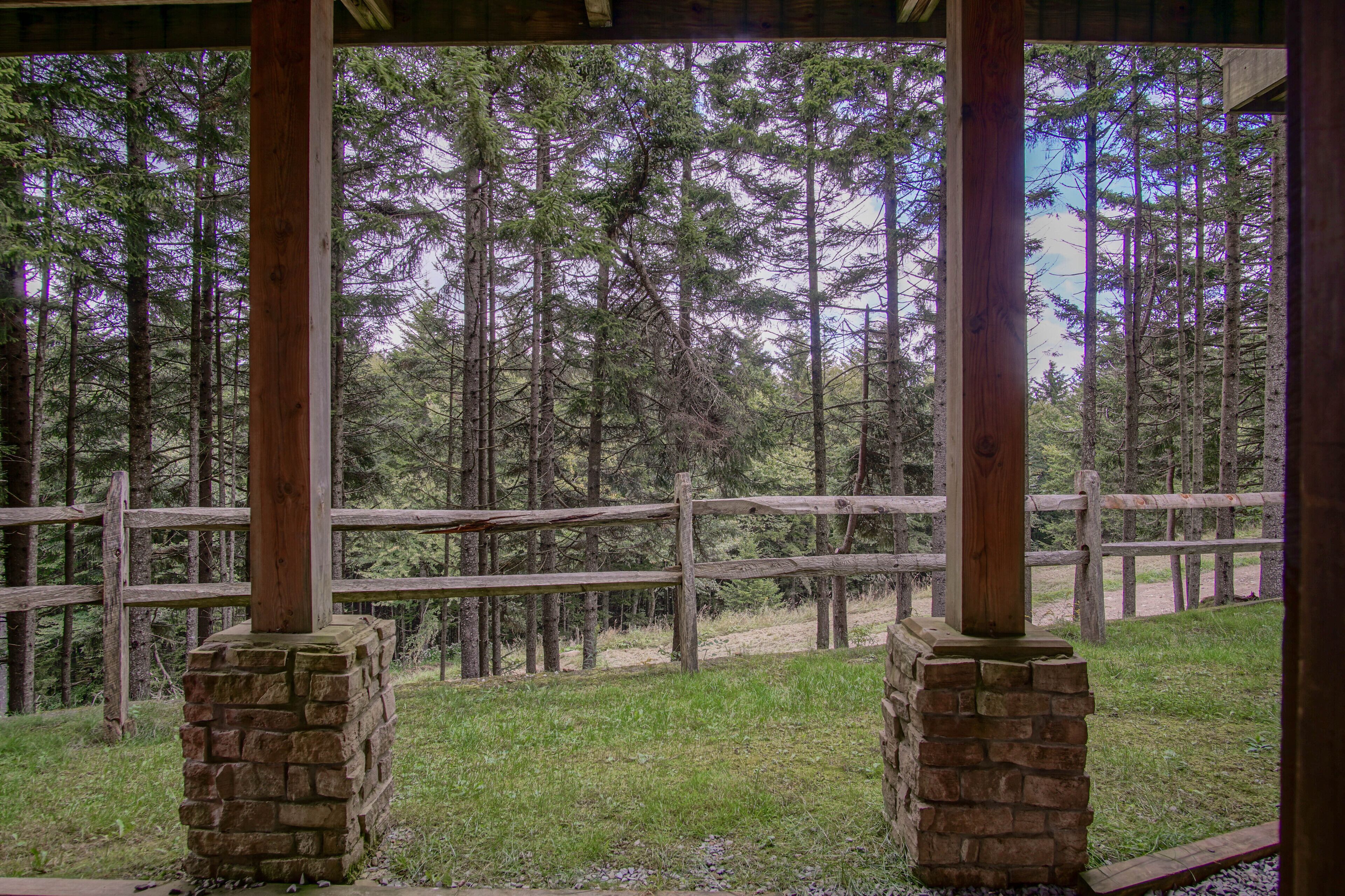 A wooden cabin with stone pillars, surrounded by a wooden fence and a forest view.