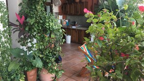 A kitchen with wooden cabinets, a fan, and various potted plants. - Zona Romantica Area with Beautiful Bay View and Large Terrace (Puerto Vallarta)